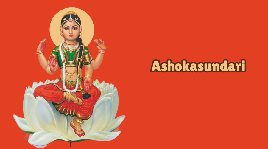 Ashokasundari